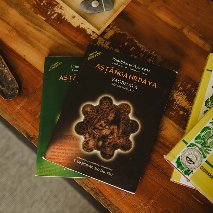 Frühjahrs-Detox mit Ayurveda Vortrag + ayurvedische Verköstigung Miriam Delies